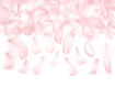 Picture of DECORATIVE FEATHERS LIGHT PINK 3G